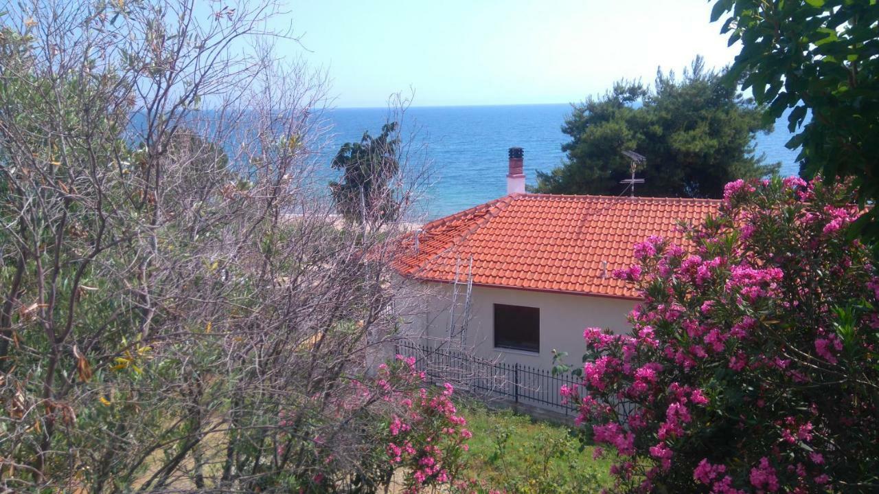 Maisonette Close To The Beach 尼基季 外观 照片
